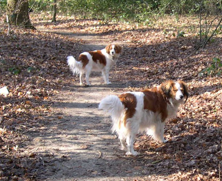 Sanne van de Ukkesteyn en Lotte van de IJsselhorst